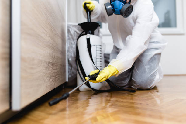 Best Commercial Pest Control Services  in Alvord, TX