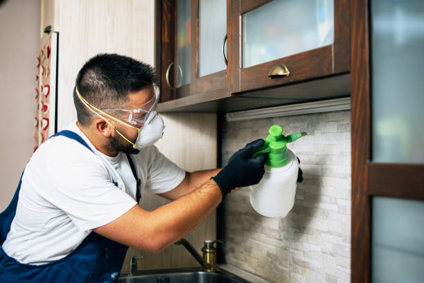 Best Insect Control  in Alvord, TX