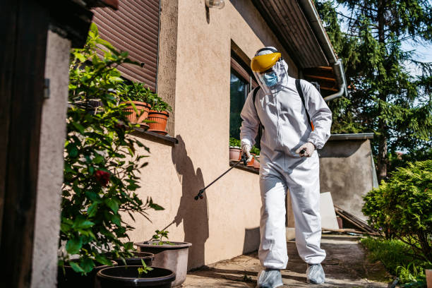 Best Ant Control Services  in Alvord, TX
