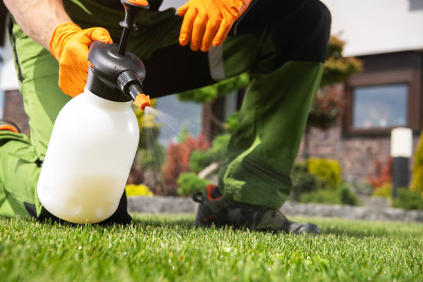 Best Pest Prevention Services  in Alvord, TX