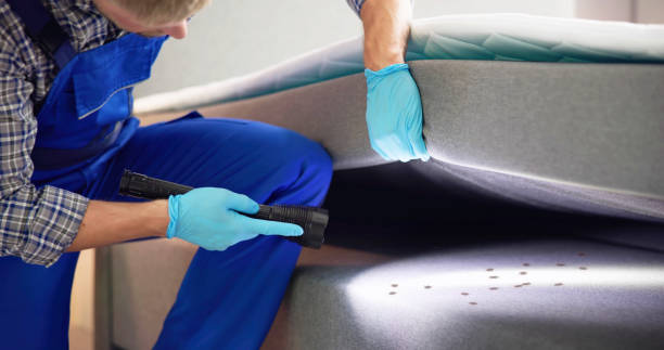 Best Rat Extermination Near Me  in Alvord, TX