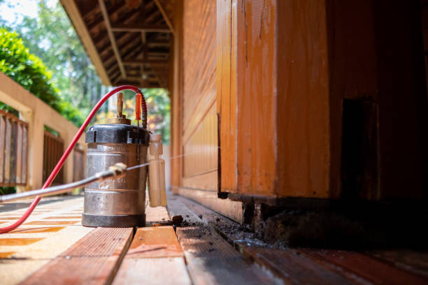 Best Affordable Pest Control Services  in Alvord, TX