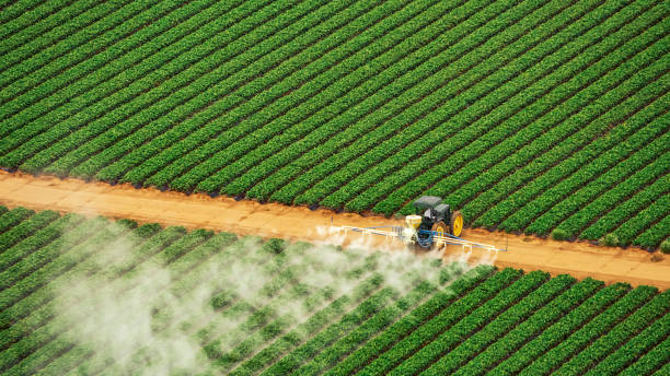 Best Pest Control for Businesses  in Alvord, TX