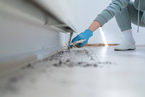 Best Pest Control for Restaurants  in Alvord, TX